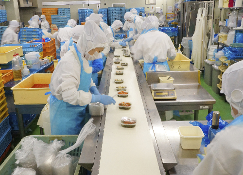 食品製造